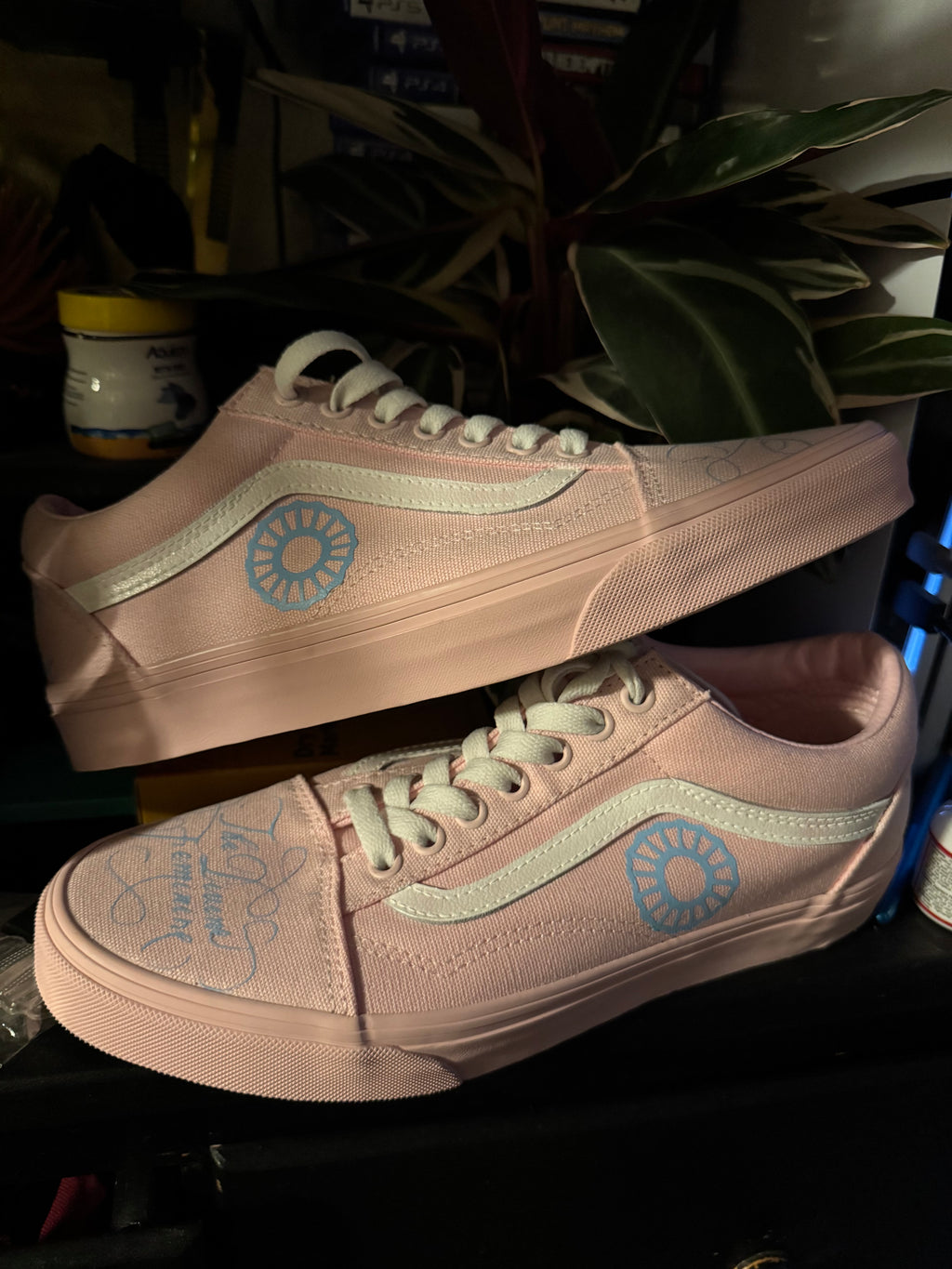 Customized Vans